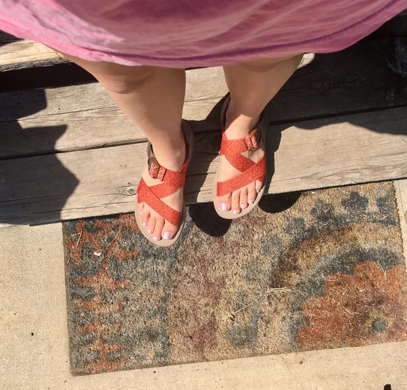 kaleido katydid chaco