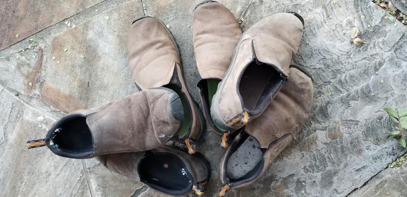merrell j63787w