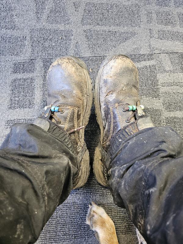 Piper Waterproof Composite-Toe 6