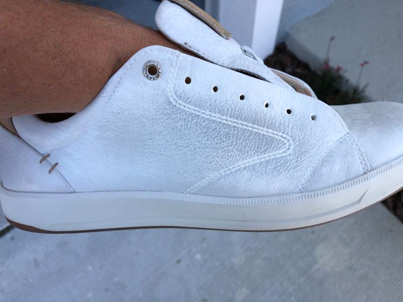 sperry gold richfield
