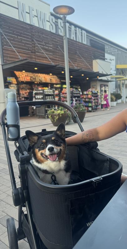 Customer photo for "Love this stroller!"