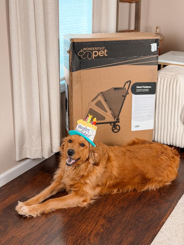 Customer photo for "Best birthday gift ever."