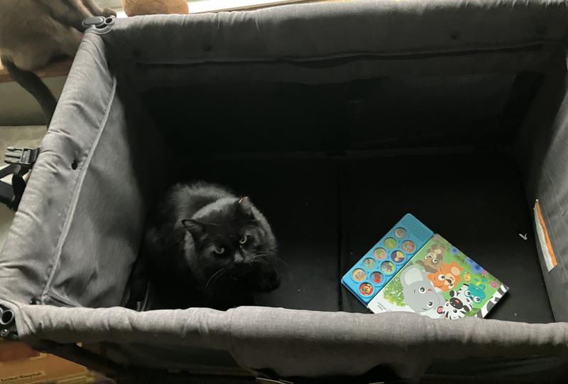 Adjustable handle bar button