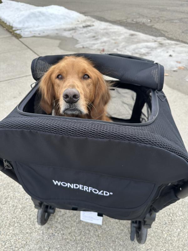 Wonderfold Medium Hudson Pet Stroller with FlatFold Technology - QVC.com
