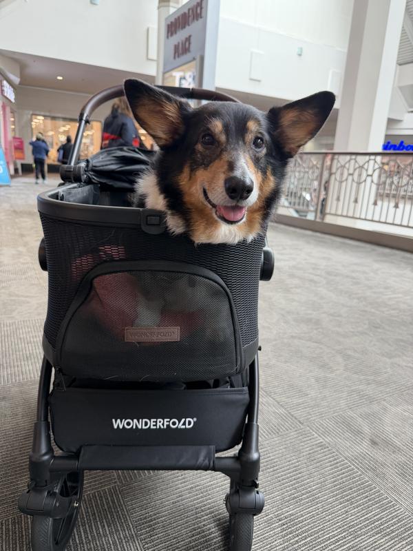 Customer photo for "Perfect for my Corgi!"