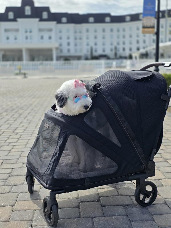 Wonderfold Medium Hudson Pet Stroller with FlatFold Technology - QVC.com