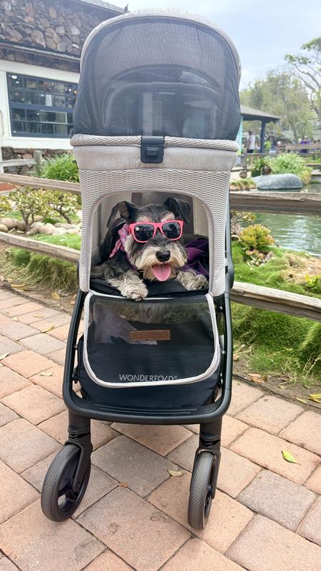 Customer photo for "The best pet stroller!"