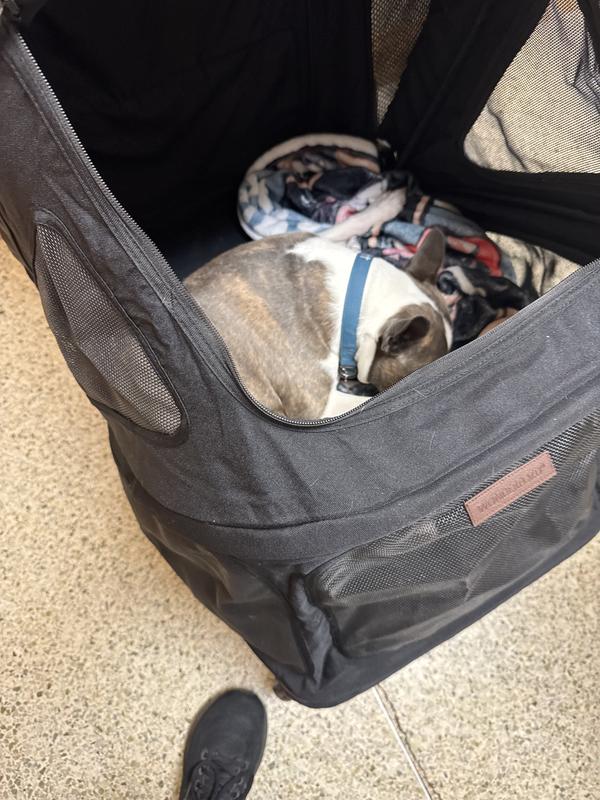 Customer photo for "Awesome Stroller"