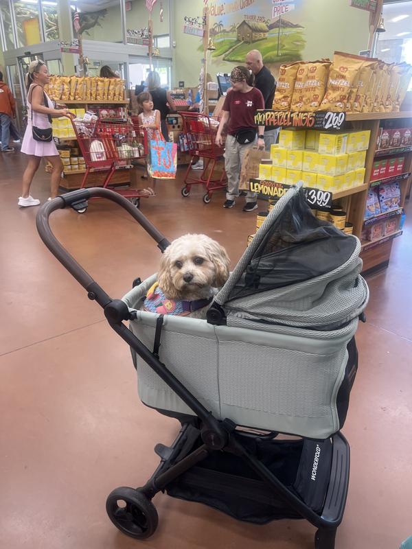 Customer photo for "Love Wonderfold Pet Stroller"