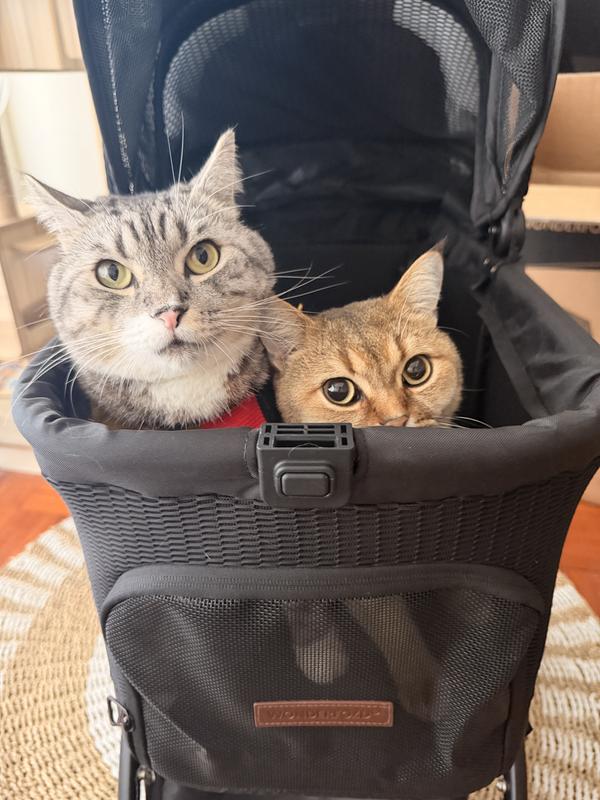 Customer photo for "a WONDERFOLD product for your little furry bestie!"
