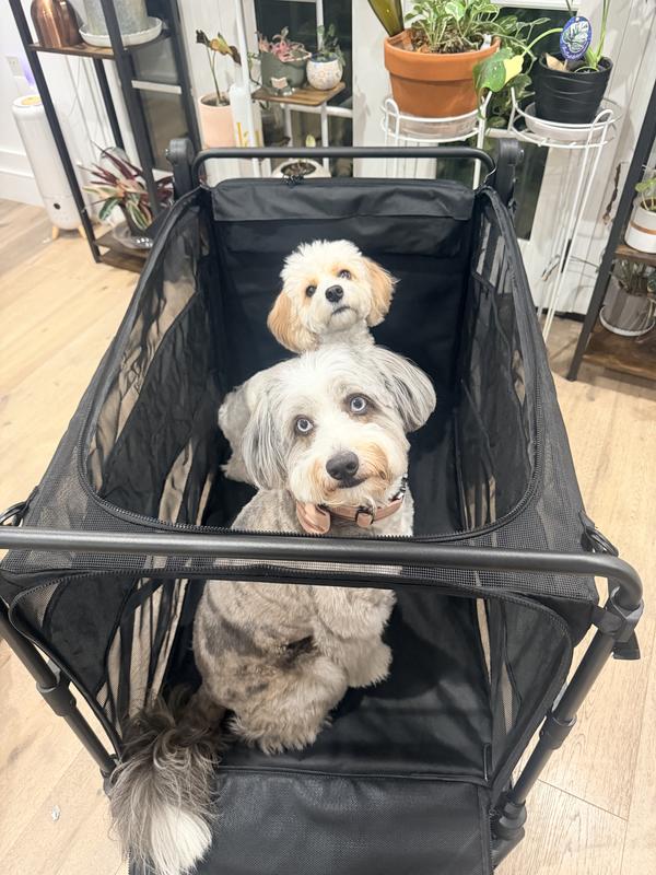 Customer photo for "Roomy and Easy to use!"