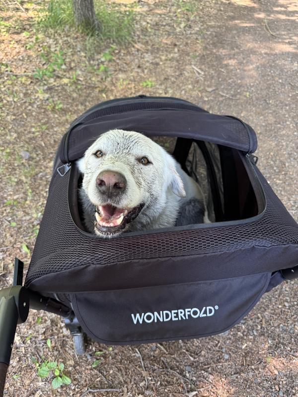 Customer photo for "LOVE a stroller that fits my 75lb dog!"