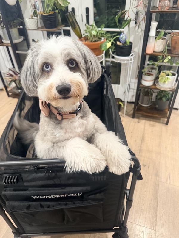 Customer photo for "Roomy and Easy to use!"