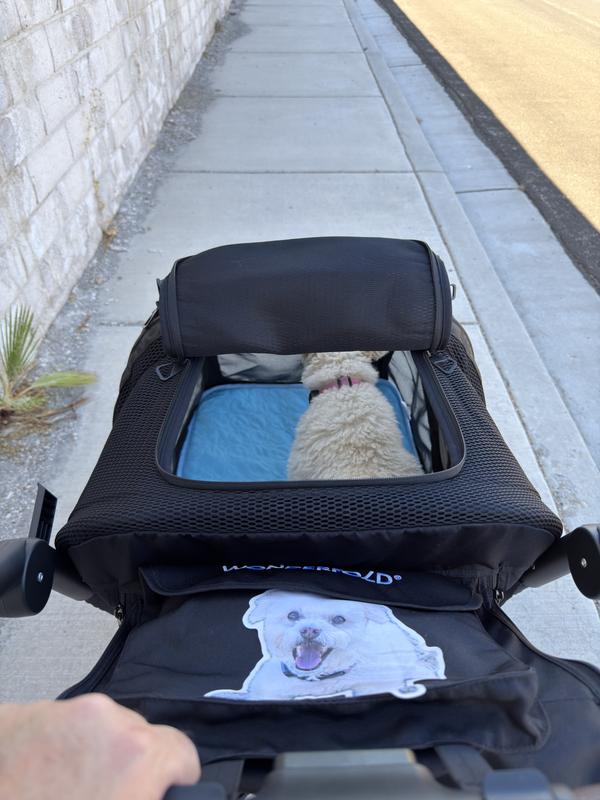 Customer photo for "My 🐶 love is it!"