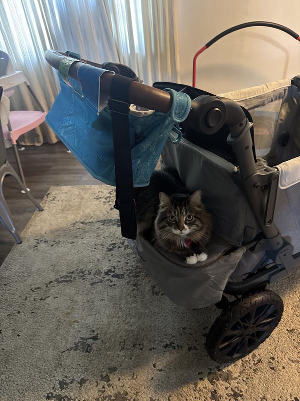 Review Thumbnail Image 1 381109014