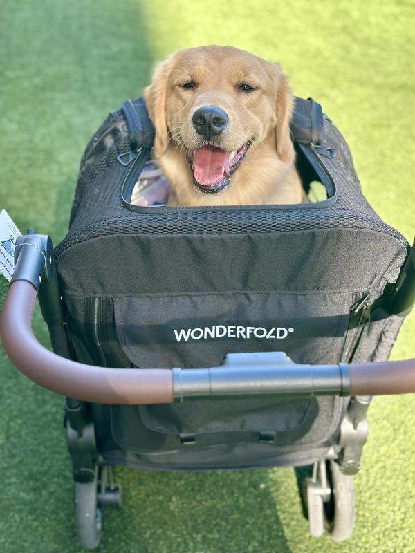 Customer photo for "Happy to have found a quality big dog stroller"