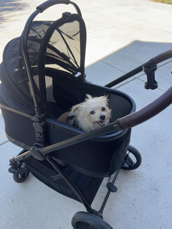 Customer photo for "Must have!!!"