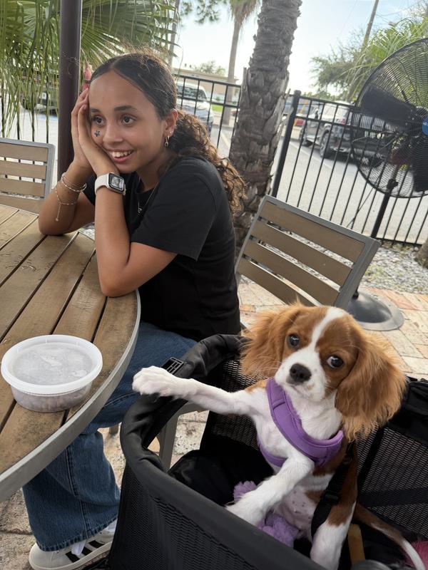 Customer photo for "Exceptional pet stroller"