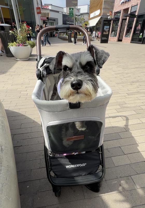 Customer photo for "The best pet stroller!"
