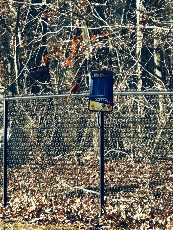 Review photo 1.