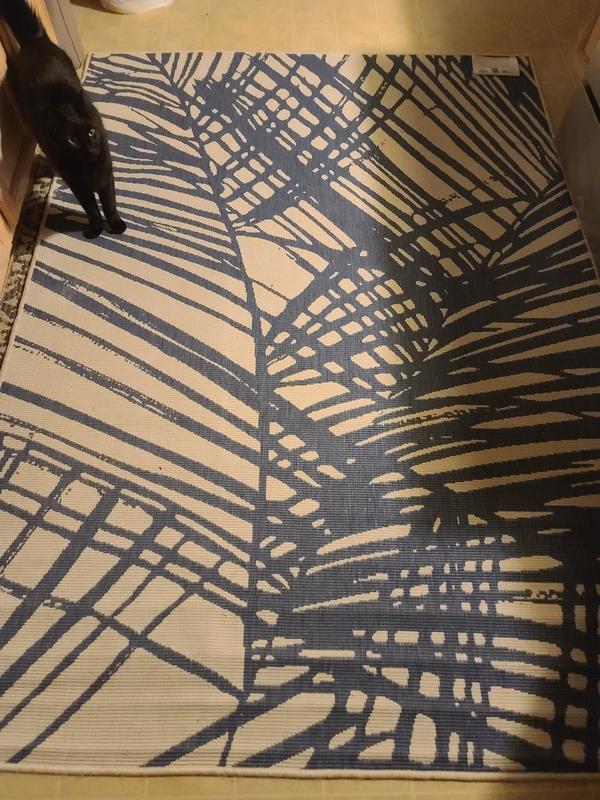 Photo from Shelly24