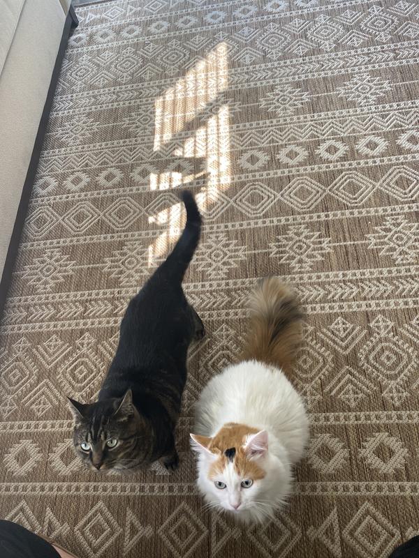 Photo from Mia23