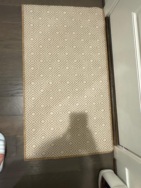 World Rug Gallery Garden 2 x 7 (ft) Flatweave Polypropylene Natural ...