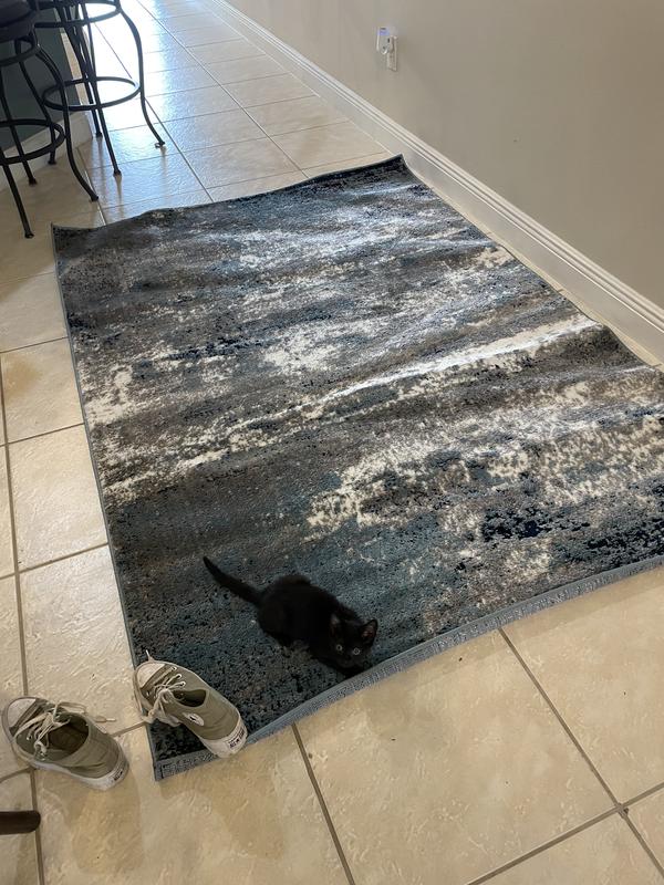 9 week old kitten for scale