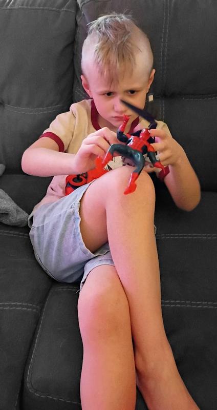 Customer carousel item 12.