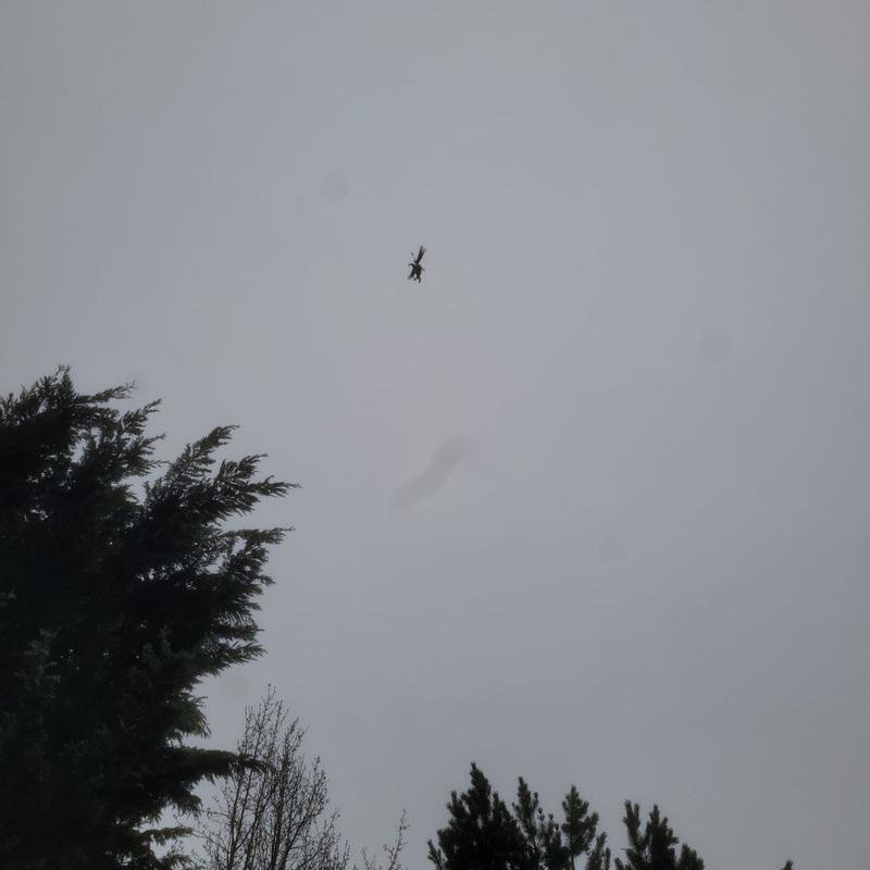 Customer carousel item 15.