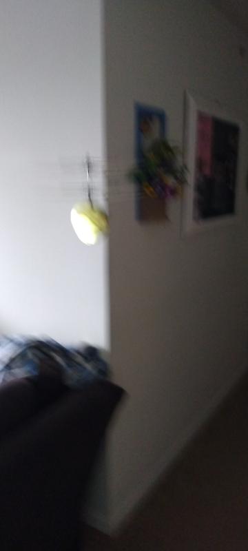 It flies fast, hard to get a clear shot