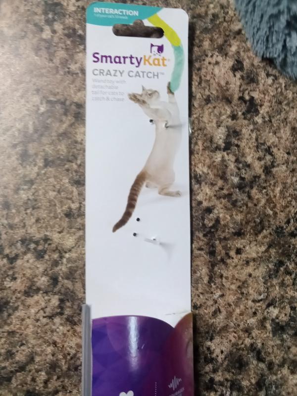 New Kitty Toy