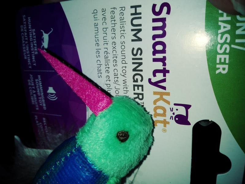 Review photo 5.