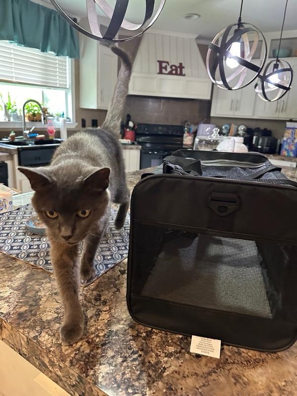 Sherpa Black Essential Soft Sided Pet Carrier for Cats & Dogs, Large Petco