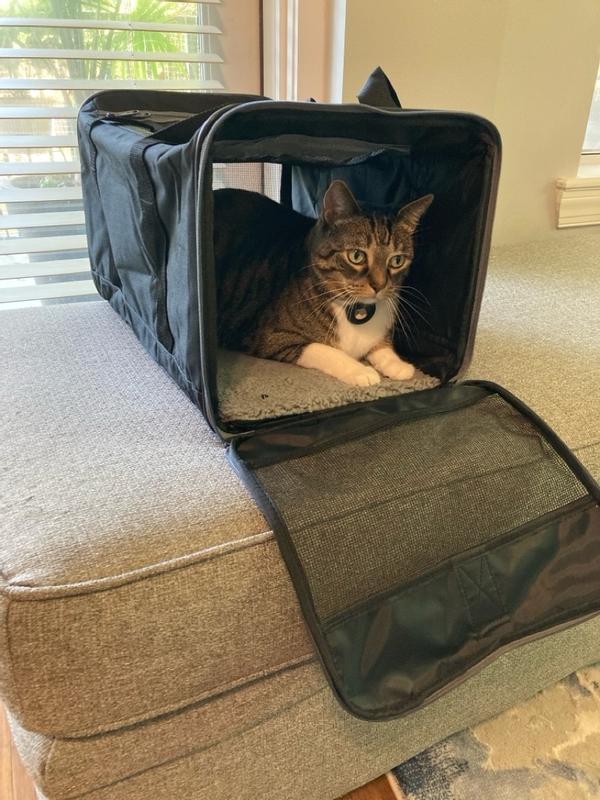 Sherpa Black Essential Soft Sided Pet Carrier for Cats & Dogs, Large Petco