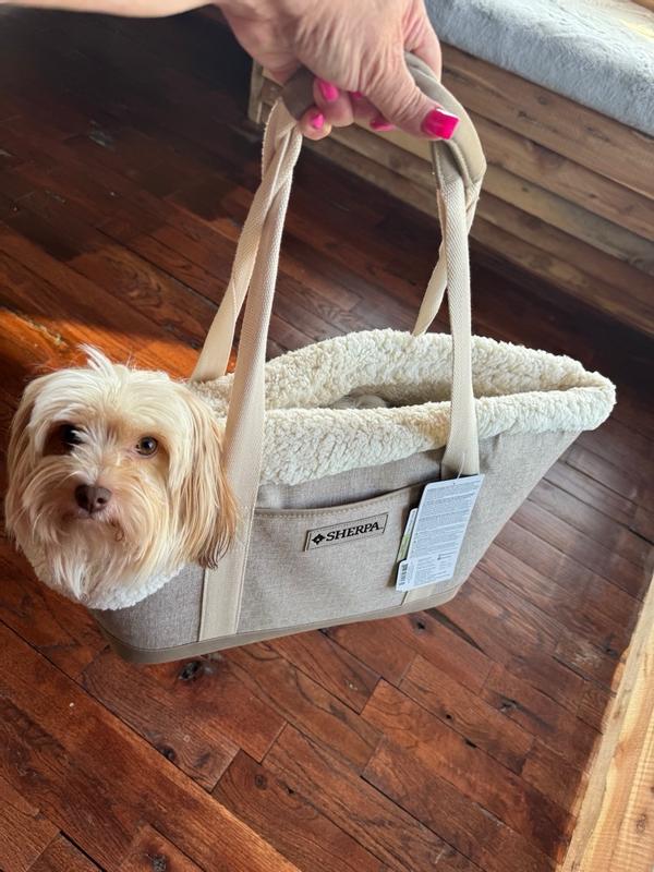 sherpa-tan-luxe-tote-fashionable-pet-carrier-medium-petco