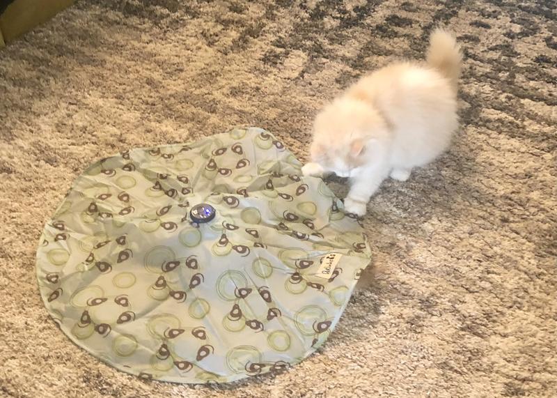 What’s under there?