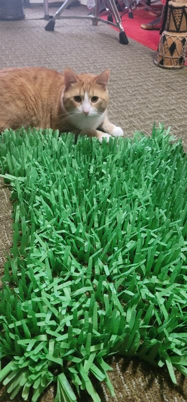 Petlinks Instincts Meadow Mayhem Cat Toy, Small
