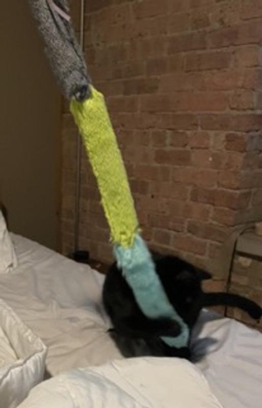 Her new toy