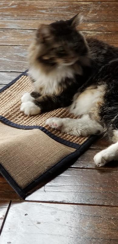 Petlinks Scratch & Play Cat Mat, Denim | Petco