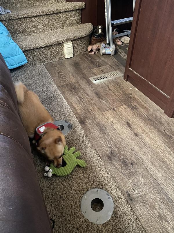 Playing hard