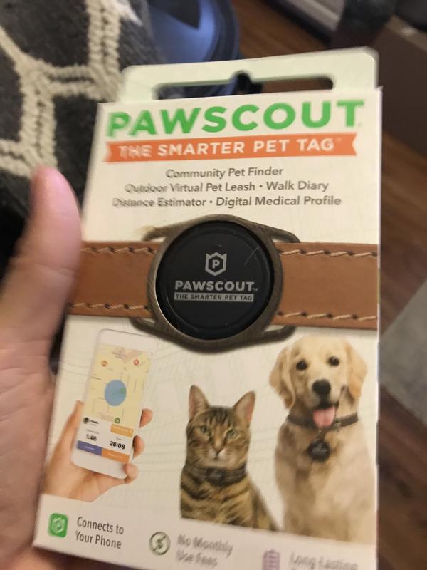 Pawscout