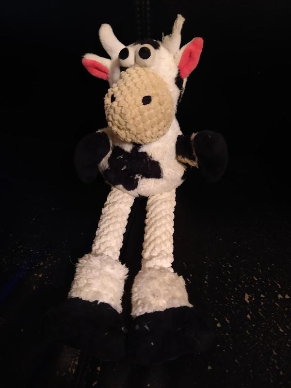 Post-Wash and No Fading Here!