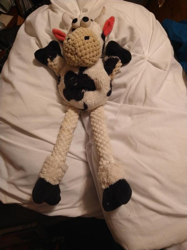 Post-Wash and Almost as Clean as Pre-Okee