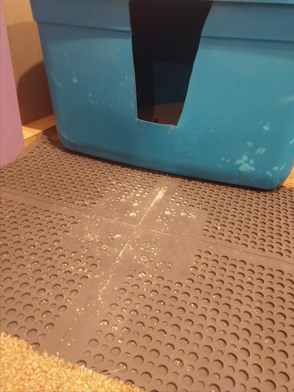 3 days without being dumped