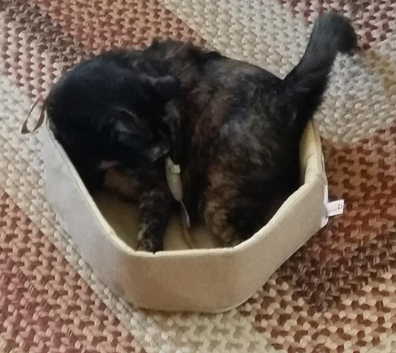 Laying Casually With Her Mouse