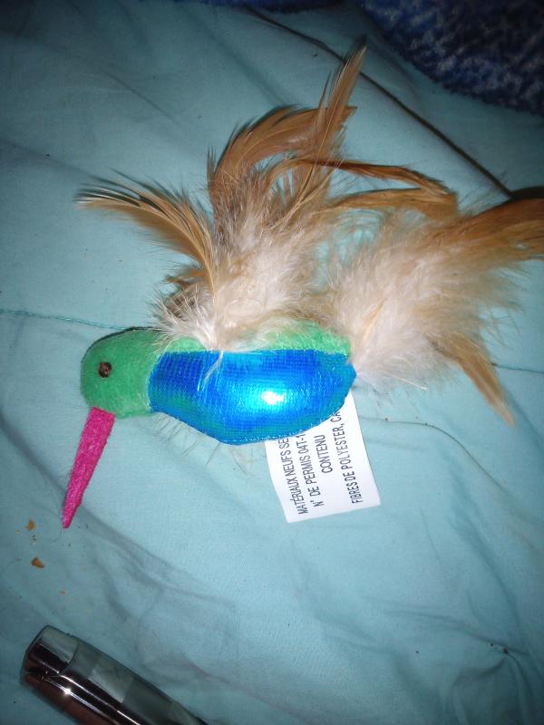 Review photo 3.