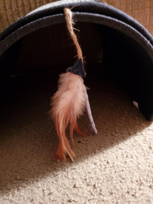 Feather and ribbon toy on the side.