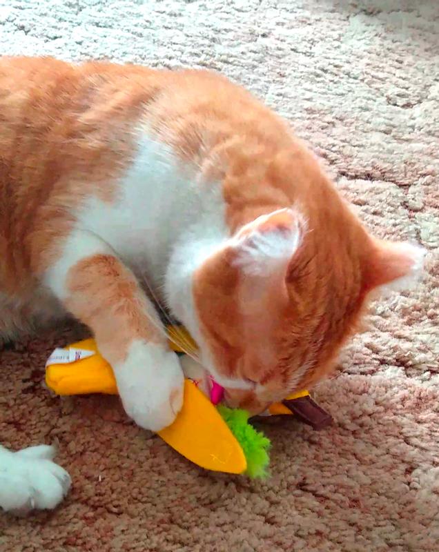 He got it!
