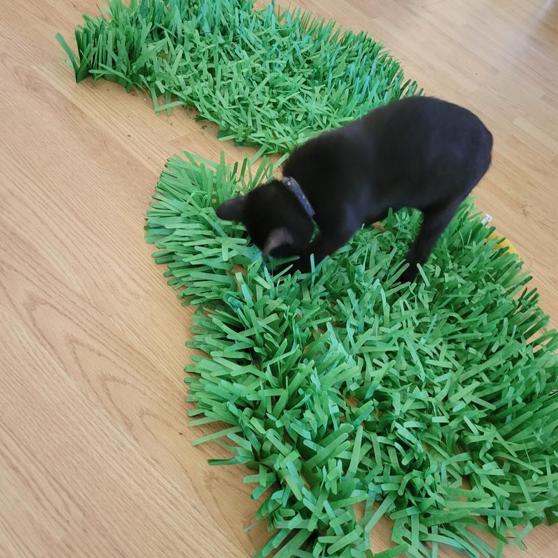 Cat Toy Tissue Paper Grass Mats Green Interactive Kitten Indoor Pet Toys  Gift 5060714780013